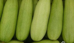圆白瓜怎么吃