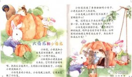 吃瓜得瓜的故事视频,揭秘网络视频背后的故事