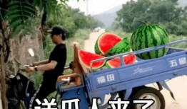 今日吃瓜911,揭秘娱乐圈最新热点事件