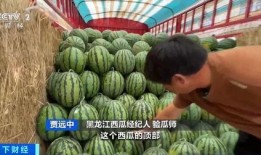 广科师吃瓜,揭秘校园热点事件背后的真相