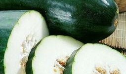 常见吃的瓜,盘点常见美味瓜类