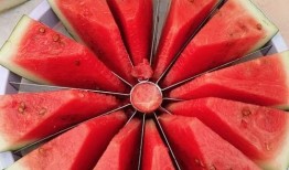 每日吃瓜大赛全部