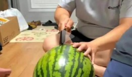 美国吃瓜现场,揭秘娱乐圈幕后真相