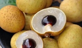 乳房结节可吃佛手瓜吗,佛手瓜适宜乳房结节患者食用吗？营养与健康解析