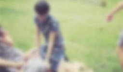 文文老师吃瓜,揭秘娱乐圈幕后故事