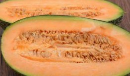 吃哈密瓜可以吃番薯吗,同食相宜的健康搭配指南