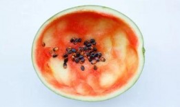 勺子吃瓜怎么吃,解锁夏日清凉新姿势