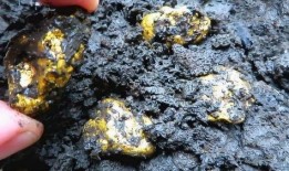 野外寻宝吃瓜视频,跟随吃瓜视频探寻宝藏之谜