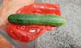 不可以吃的瓜是什么瓜,那些不能食用的瓜类，了解瓜果的食用禁忌