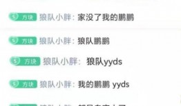 小胖吃瓜直播间,揭秘娱乐圈幕后故事