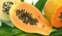 吃瓜吃熟透的好吗,吃熟透的瓜，感悟生活的真谛