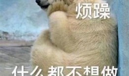 吃瓜群众解压图片,趣味图片带你轻松减压