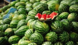 吃瓜不吃瓤,吃瓜不吃瓤，品味生活新境界