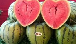 挑战吃生瓜,勇敢尝试生瓜的味觉冒险