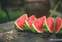 过了吃瓜季节,回味悠长的夏日时光