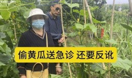 急诊吃瓜后续,揭秘真相，揭开神秘面纱