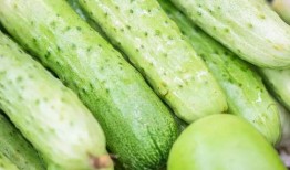 如何快速解锁吃瓜,轻松成为吃瓜达人！