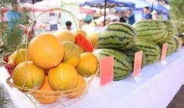 准备吃瓜结果,揭秘“吃瓜群众”背后的真相与趣味