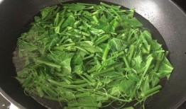 孕中期可以吃佛手瓜尖吗,佛手瓜尖的适宜食用探讨