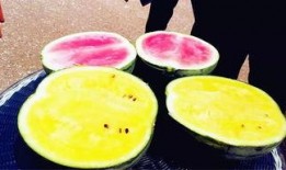 吃瓜爆料偃师,偃师背后的惊人真相