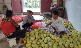 吃瓜接龙,吃瓜群众眼中的娱乐圈风云变幻