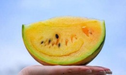 吃瓜网在线吃瓜,在线吃瓜，畅享娱乐盛宴