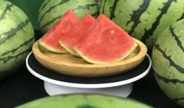 准备吃瓜结果,揭秘“吃瓜群众”背后的真相与趣味