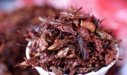 草蜢吃瓜视频,揭秘娱乐圈幕后故事