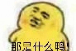 吃瓜证表情包,揭秘网络热图的趣味与内涵