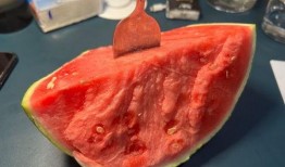 小蜜瓜吃西瓜,小蜜瓜的西瓜奇遇记