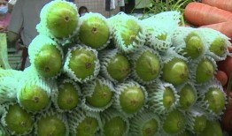 吃葫芦瓜的配音,趣味盎然的田园之声