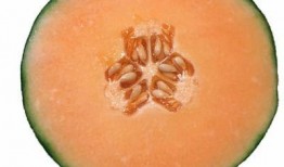 乳母期间可以吃哈密瓜吗,哈密瓜的营养与安全指南