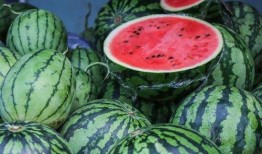 吃瓜网在线吃瓜,在线吃瓜，畅享娱乐盛宴