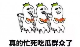 太好笑了吃瓜群众,太好笑了！吃瓜群众热议网络爆笑瞬间