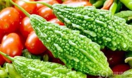 梁凉吃瓜,揭秘娱乐圈背后的那些事儿