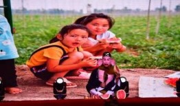 鄄城吃瓜的视频,一场视觉与味蕾的双重盛宴