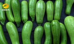 不可以吃的瓜是什么瓜,那些不能食用的瓜类，了解瓜果的食用禁忌