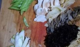 吃瓜菌呀,网络红人的崛起与影响力