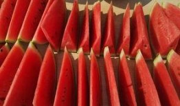 吃瓜王小盒,揭秘娱乐圈幕后故事