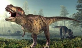 吃瓜恐龙巨大,探寻史前巨兽的饮食习惯与生活习性