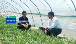 沭阳马克吃瓜事件