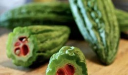 吃瓜王梓琳,揭秘娱乐圈幕后故事