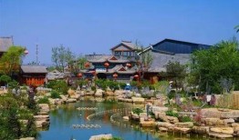 司徒小镇吃瓜在哪,探寻吃瓜胜地，品味夏日清凉