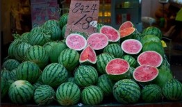 上海教练吃瓜,揭秘背后真相与网络舆论风暴