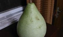 急诊吃瓜后续,揭秘真相，揭开神秘面纱