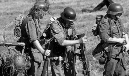 用枪吃瓜,揭秘用枪吃瓜背后的故事