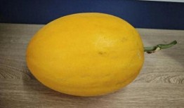 桂林路吃瓜,街头热辣吃瓜，揭秘美食背后的故事