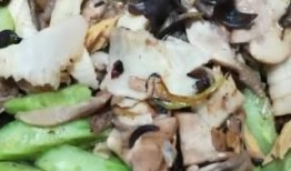 吃瓜菌呀,网络红人的崛起与影响力