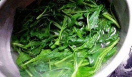 孕中期可以吃佛手瓜尖吗,佛手瓜尖的适宜食用探讨