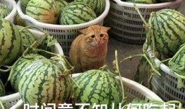 会姐吃瓜,揭秘娱乐圈那些不为人知的幕后故事